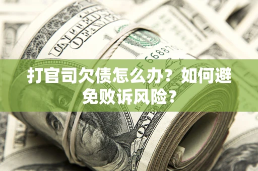 北京打官司欠债怎么办？如何避免败诉风险？