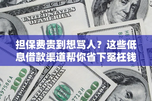 北京担保费贵到想骂人？这些低息借款渠道帮你省下冤枉钱
