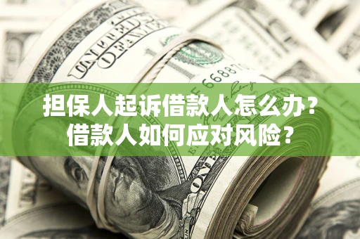 北京担保人起诉借款人怎么办？借款人如何应对风险？