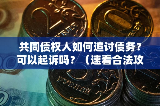 北京共同债权人如何追讨债务？可以起诉吗？（速看合法攻略）